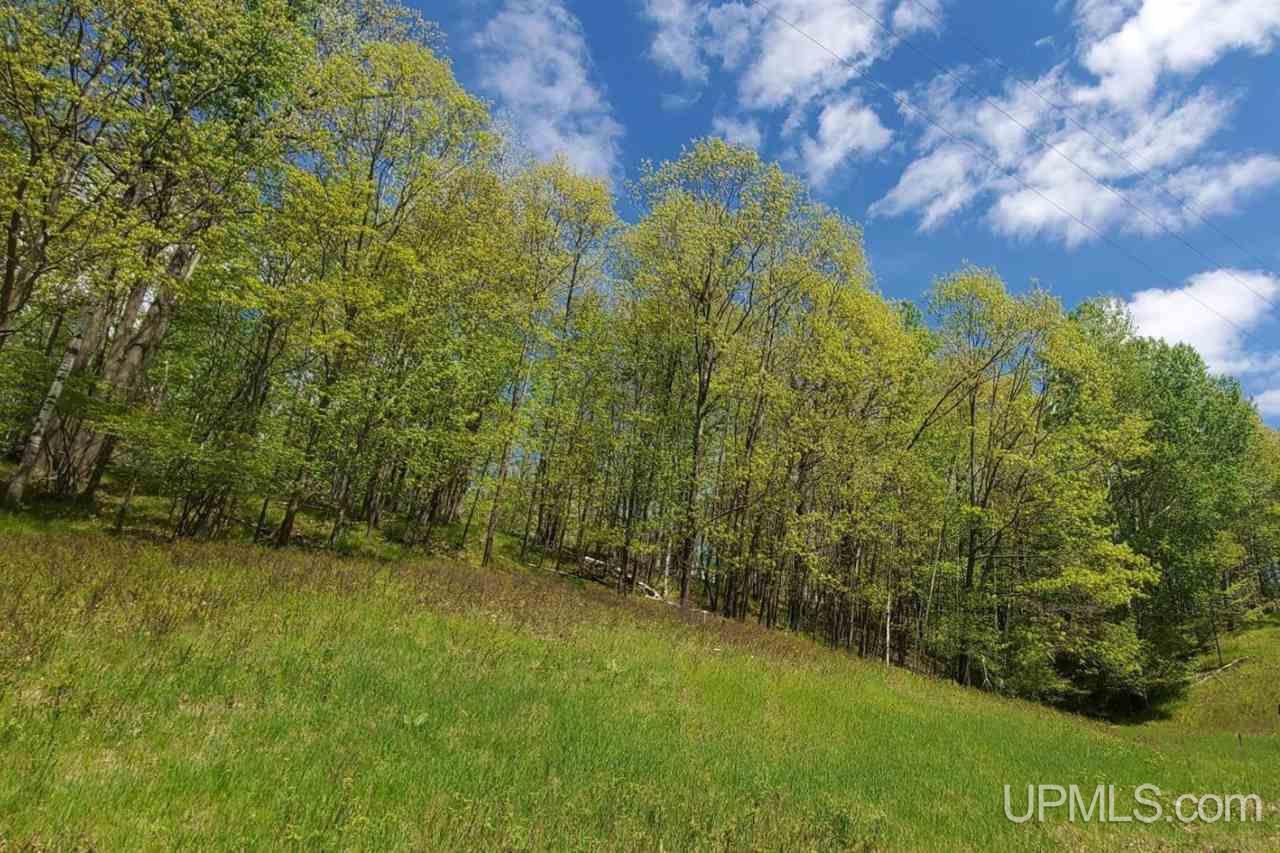 Tbd Hydraulic Falls Road Iron Mountain, MI 49802 - Photo 4 of 7