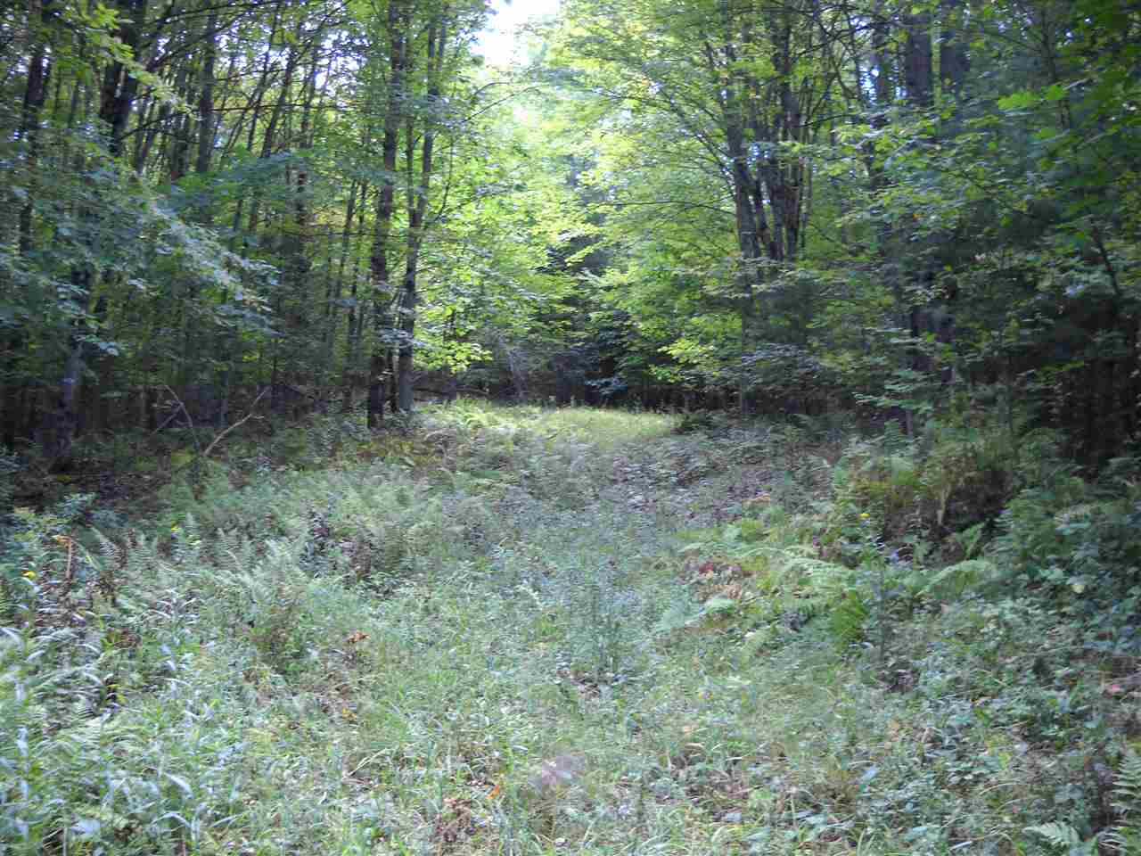31 Barton Road Piermont, NH 03779 - Photo 1 of 8 Gallery Image 1