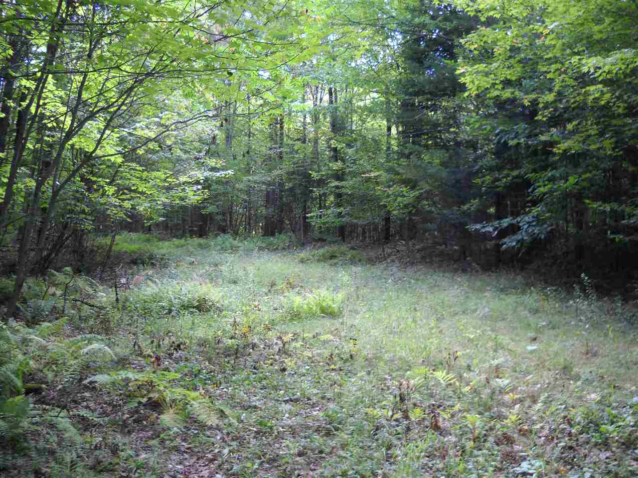 31 Barton Road Piermont, NH 03779 - Photo 2 of 8 Gallery Image 2