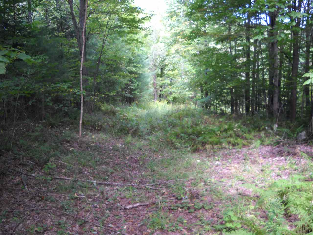 31 Barton Road Piermont, NH 03779 - Photo 5 of 8 Gallery Image 5