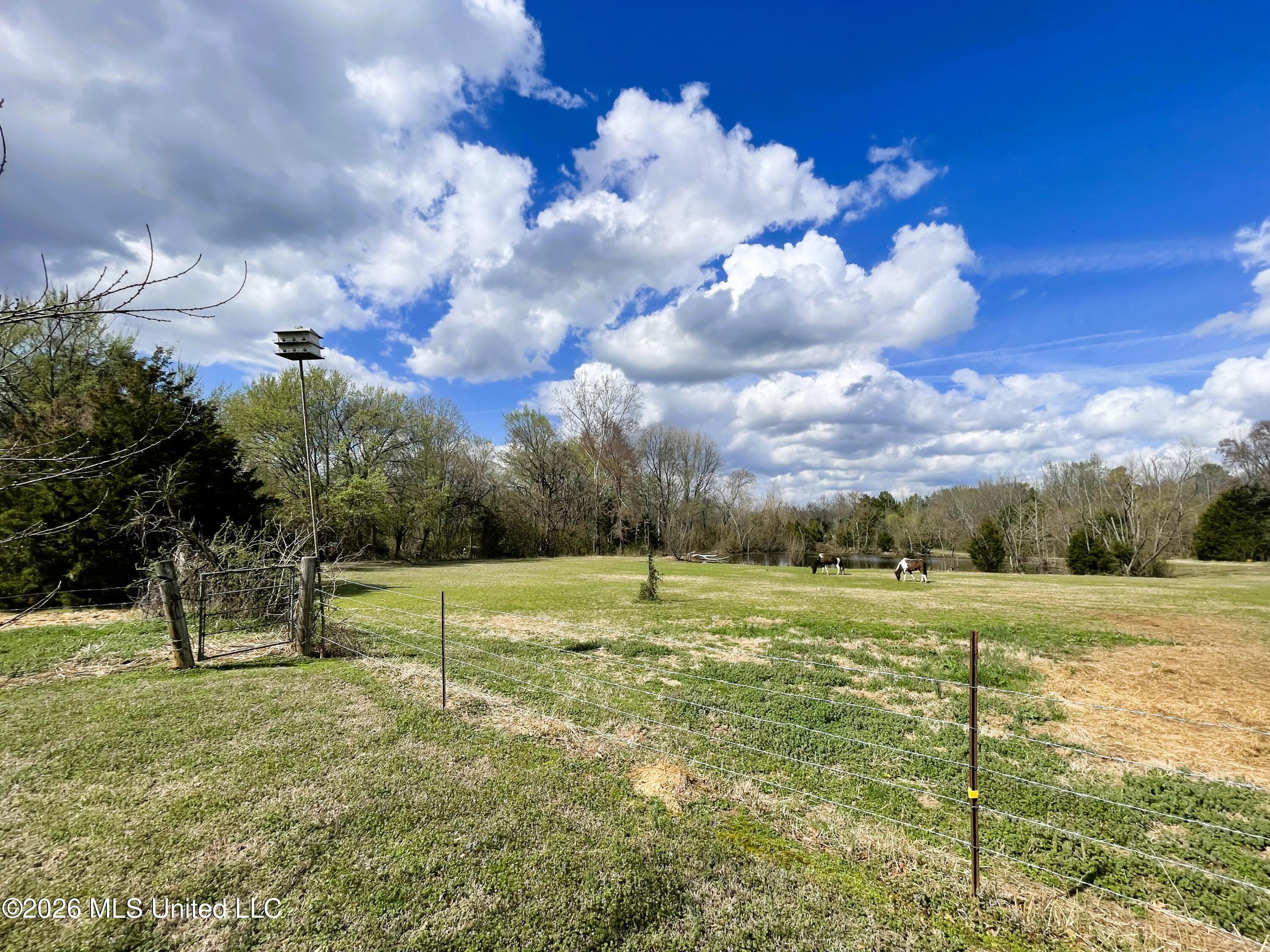 286 Caleb Lane Coldwater, MS 38618 - Photo 39 of 56 Photo Mar 06 2026, 1 27 17 PM