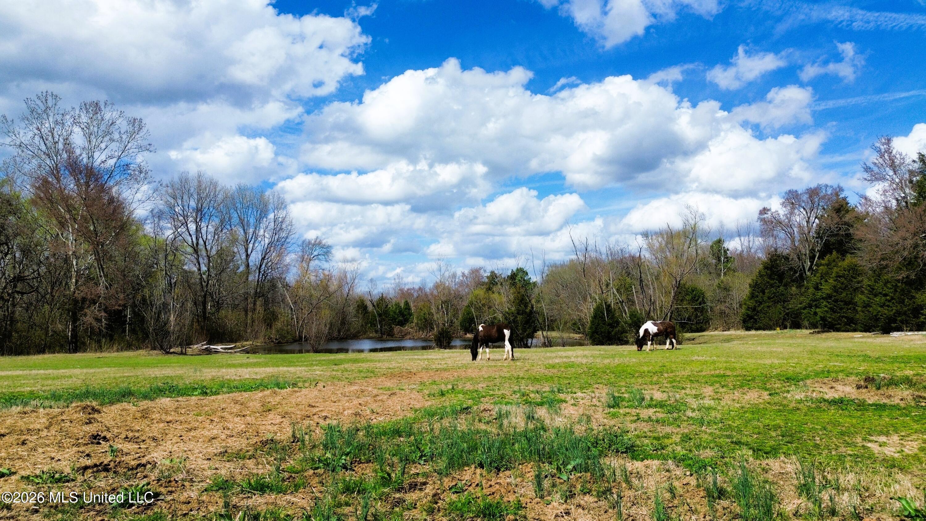 286 Caleb Lane Coldwater, MS 38618 - Photo 56 of 56 Photo Mar 06 2026, 12 34 28 PM