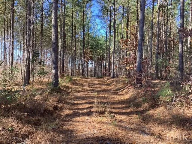 a view of outdoor space with trees