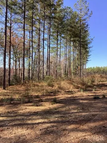 a view of covered with snow
