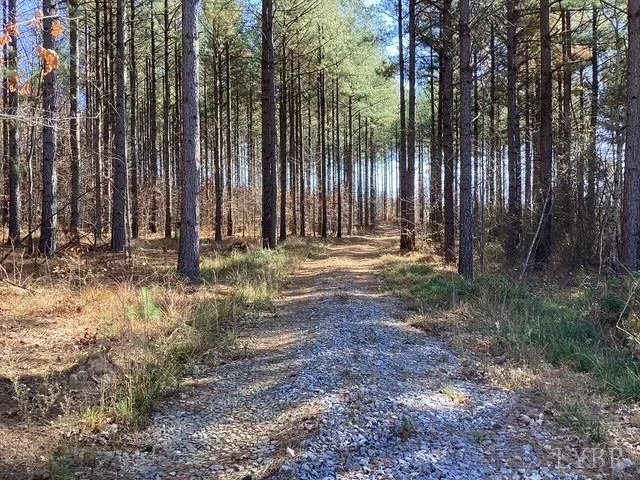 a view of a yard with lots of bushes