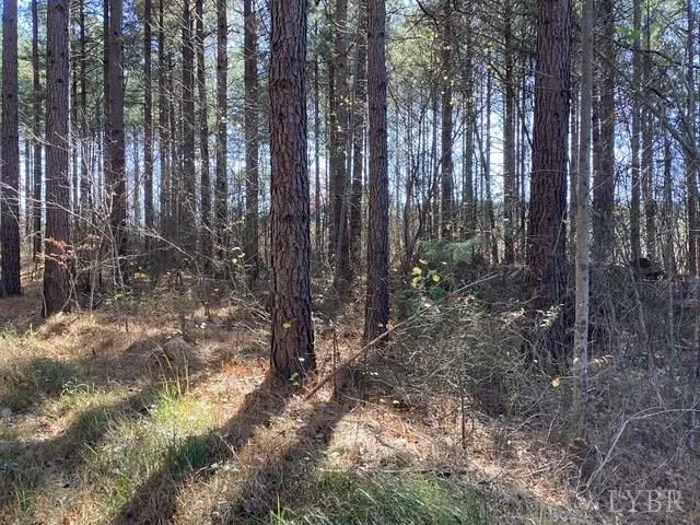a view of outdoor space with street view