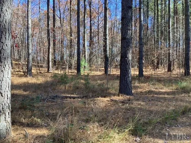 a view of outdoor space with trees