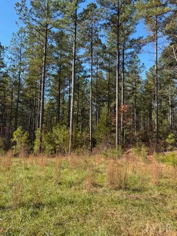 a blue swimming pool is in the middle of a garden