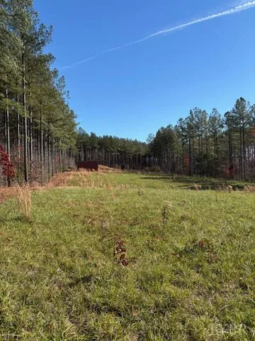 a view of a field with a tree in the background