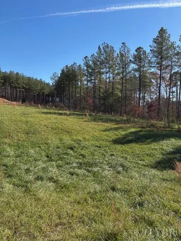 a view of a forest with trees in the background