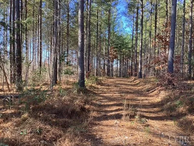 a view of outdoor space with trees