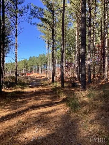 a view of backyard space