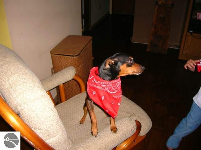 10738 Wildwood Road Interlochen, MI 49643 - Photo 5 of 8 1700042-4.JPG