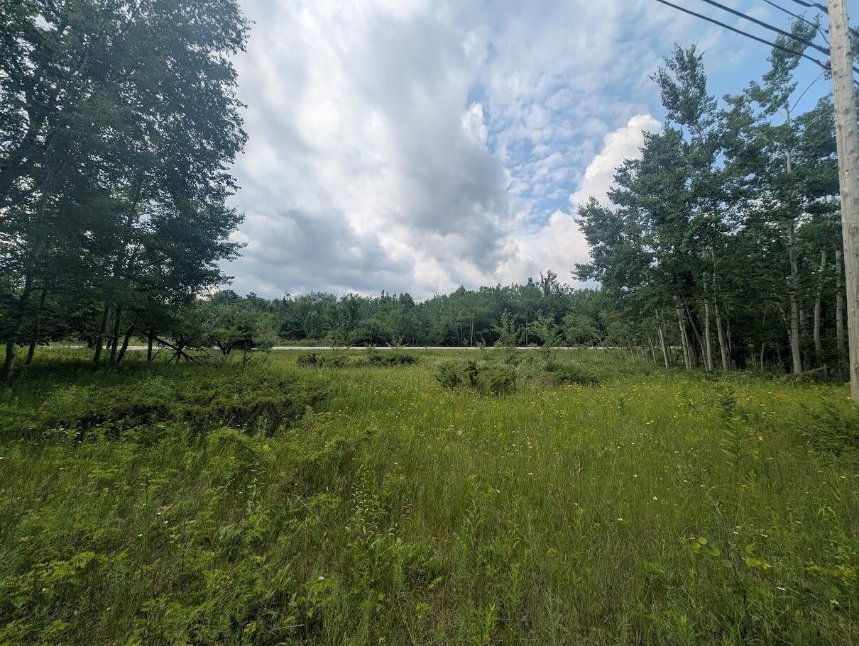 West Long Lake Road Alpena, MI 49707 - Photo 11 of 17 PXL_20250709_154759762
