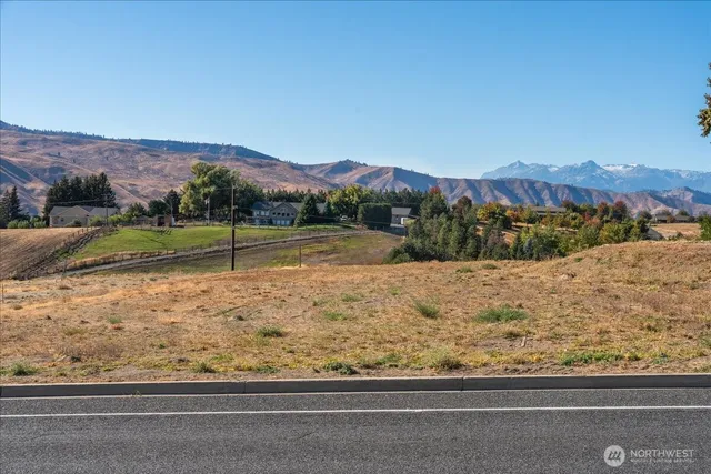 a view of a yard with a mountain view