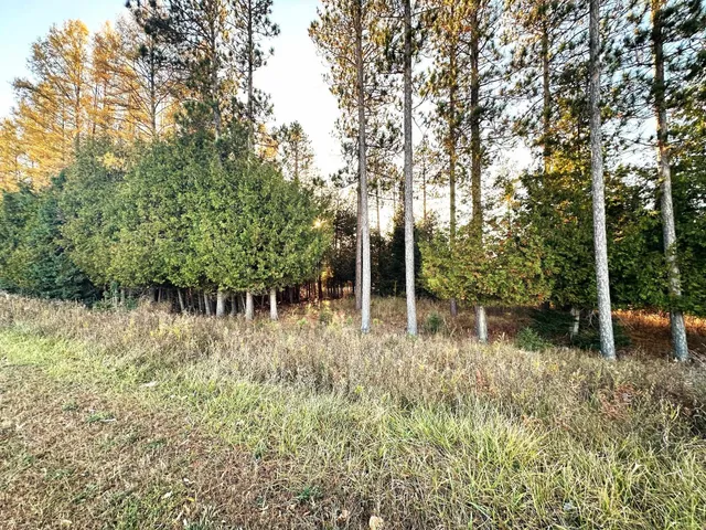 $84,900 | K1 Drive Stephenson Mi 49887, Stephenson, MI 49887