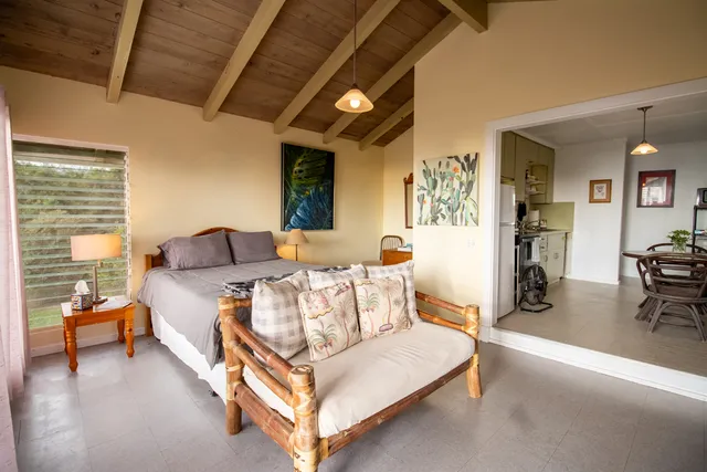 a spacious bedroom with a bed a couch and dresser