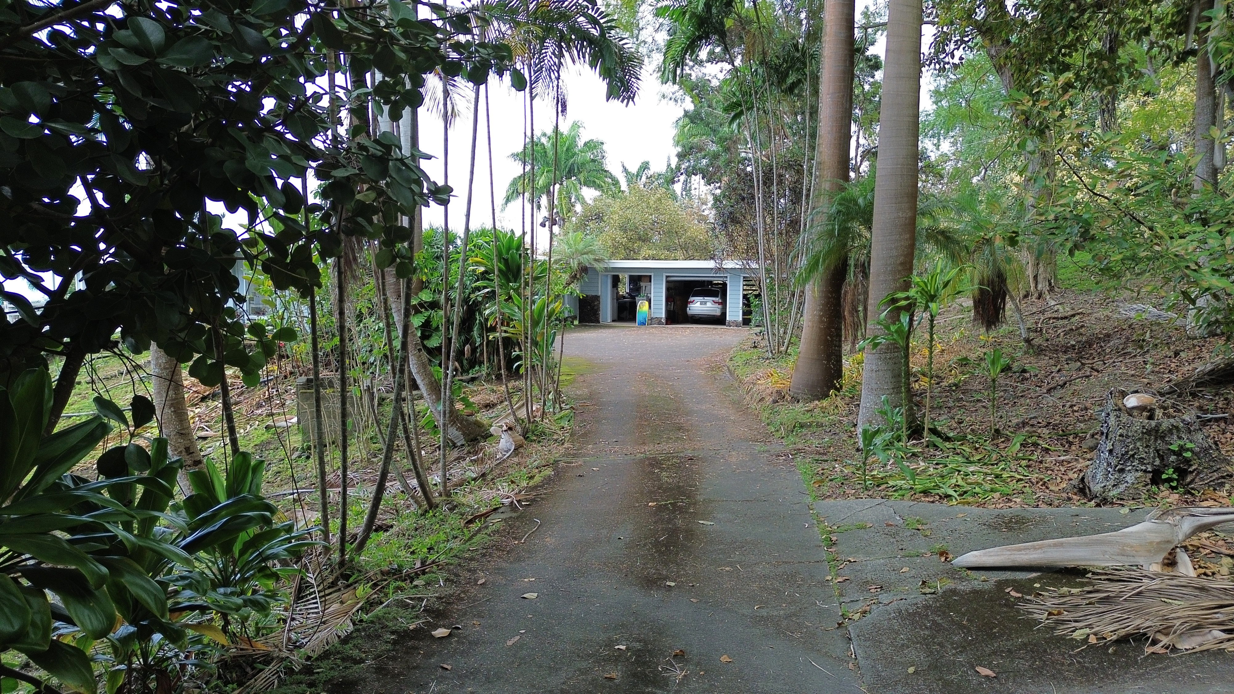 84-5063 Hawaii Belt Road Captain Cook, HI 96704 - Photo 3 of 30 a view of a house with a tree in the yard