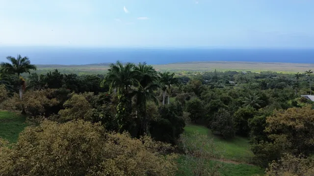 an aerial view of residential house and green space
