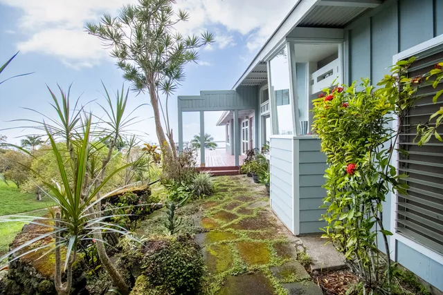 a potted plant in front of a house