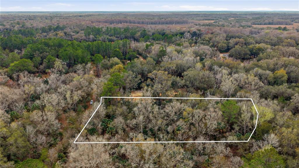 598 South Chambers Way Inverness, FL 34450 - Photo 2 of 5