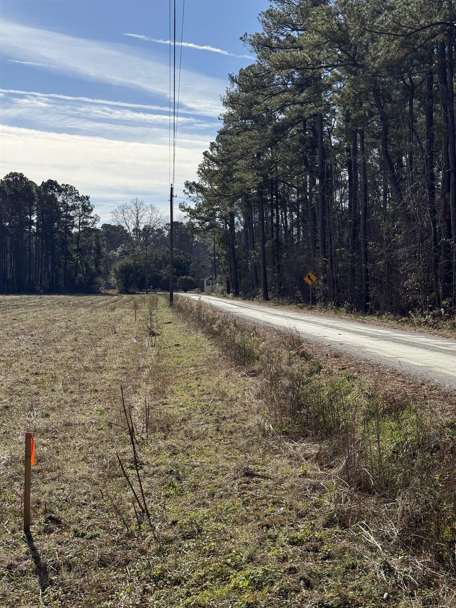 Lot 4 Johnson Shelly Road Conway, SC 29526 - Photo 2 of 10