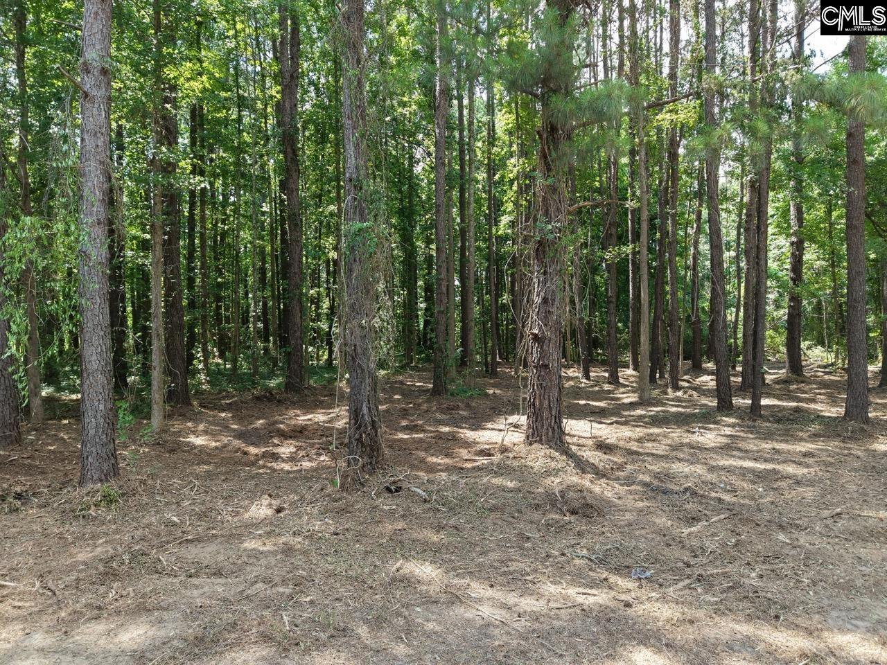 0 Peace Lane Bowman, SC 29018 - Photo 10 of 13