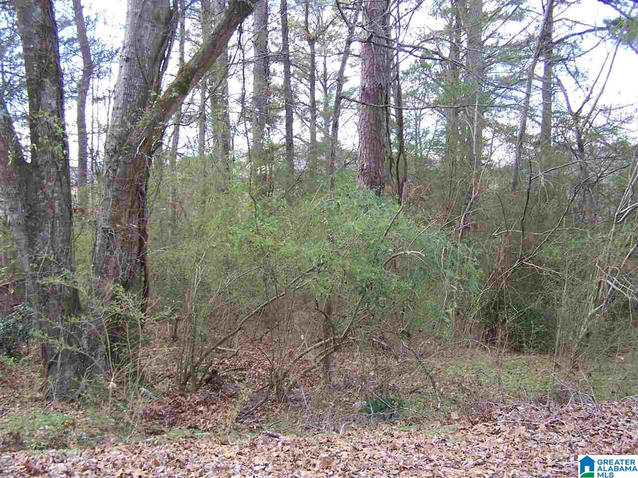 Virginia Street, Unit 6 & 7 Oneonta, AL 35121 - Photo 2 of 7