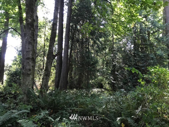 11111 Seatter Road Northeast Kingston, WA 98346 - Photo 3 of 6 Gallery Image 3