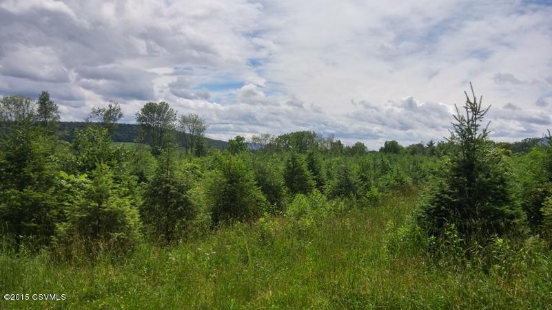 0 Troxellville Road Beavertown, PA 17813 - Photo 13 of 17 Gallery Image 13