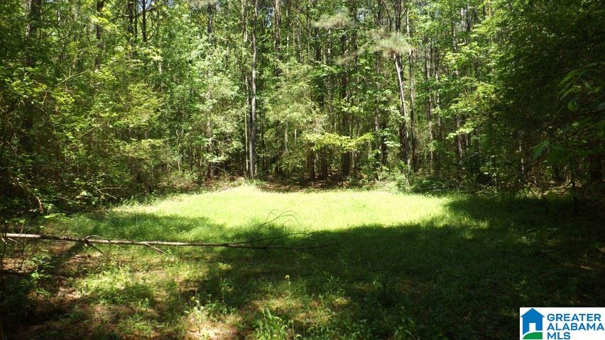 0 Pea Ridge Circle, Unit 424 Union Grove, AL 35175 - Photo 24 of 49