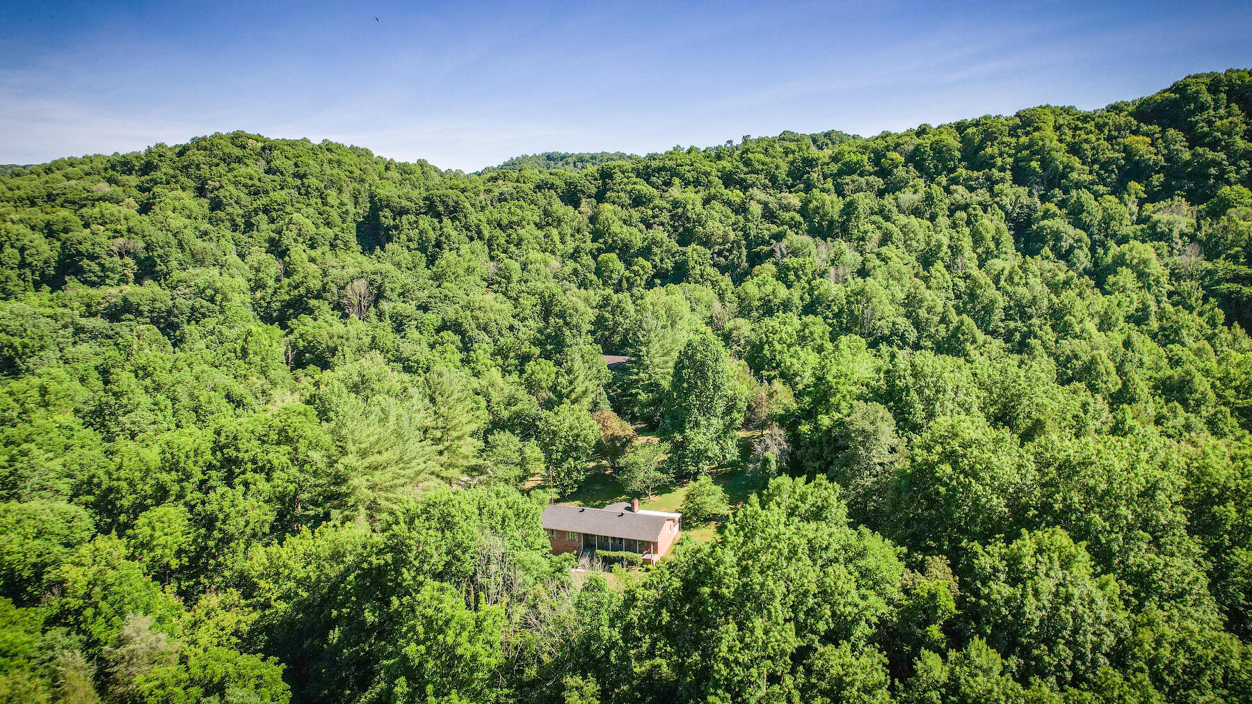 168 Pendleton Road Kingsport, TN 37664 - Photo 50 of 53 105