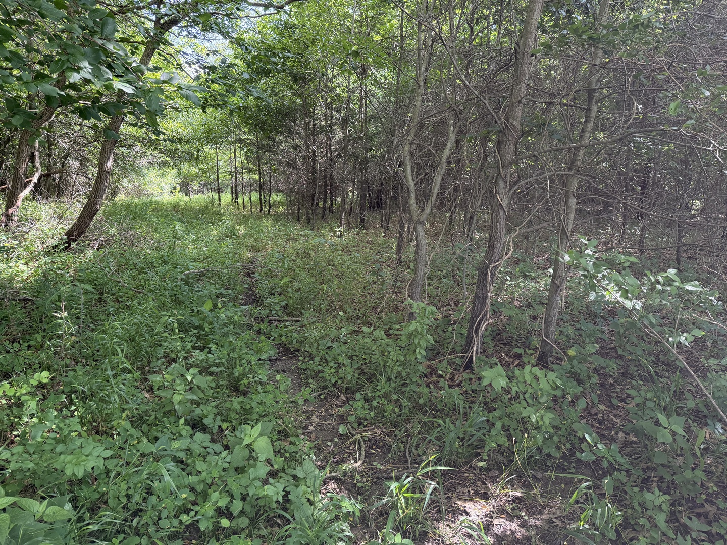 0 Landmark Road Iuka, IL 62849 - Photo 26 of 28
