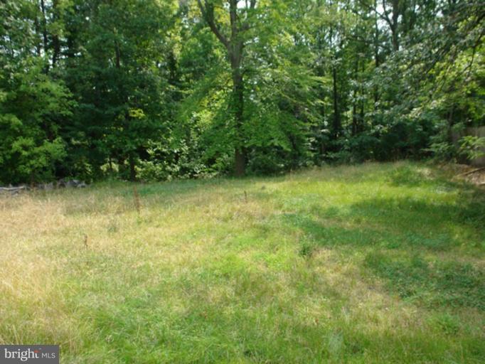 14604 Livingston Road Accokeek, MD 20607 - Photo 13 of 17 Back yard