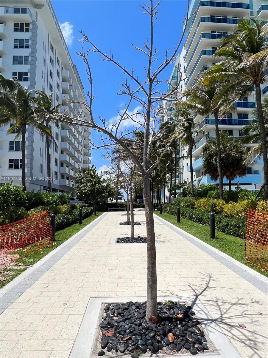 9172 Collins Avenue, Unit 214 Surfside, FL 33154 - Photo 30 of 33 a tree in front of a building with a yard
