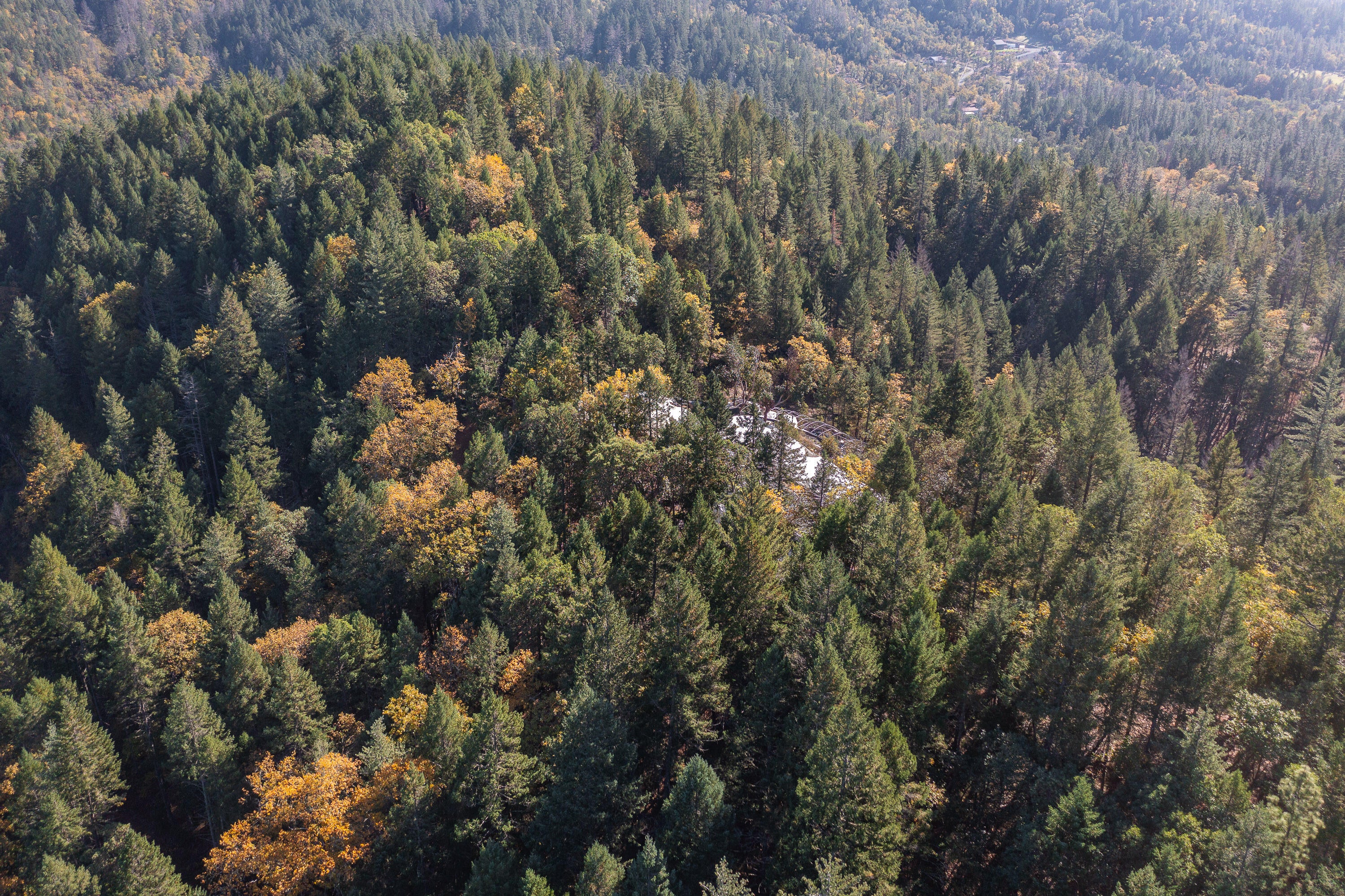 617 Glendon Road Cave Junction, OR 97523 - Photo 33 of 33 DRONE