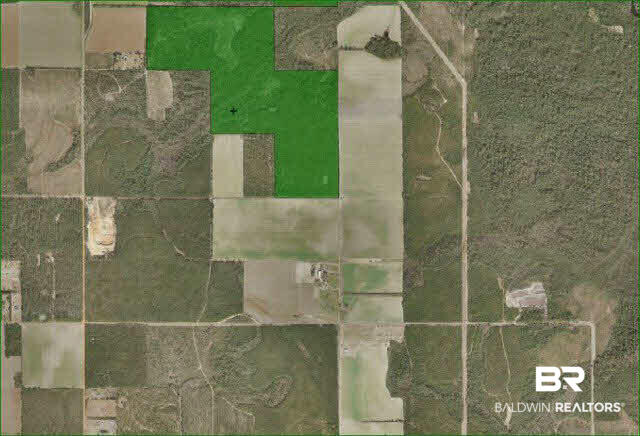 0 Le Frank Road Elberta, AL 36530 - Photo 1 of 1 Gallery Image 1