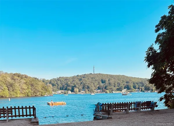 a view of a field with an ocean view