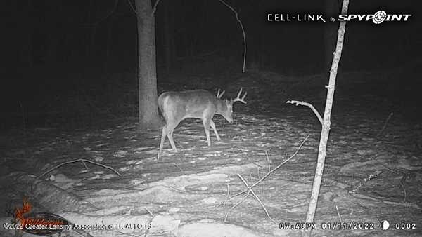 0 Meridian Road Laingsburg, MI 48848 - Photo 10 of 13 meridian buck 2