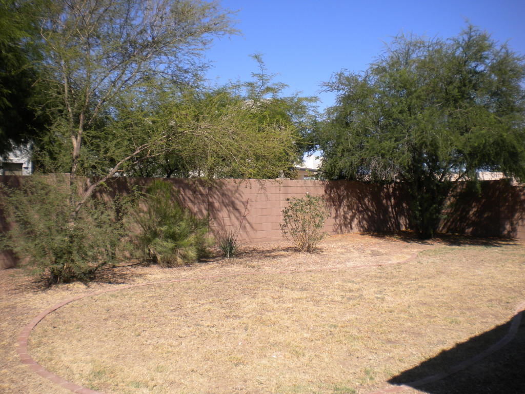 4351 South Splendor Place Gilbert, AZ 85297 - Photo 8 of 8 Backyard