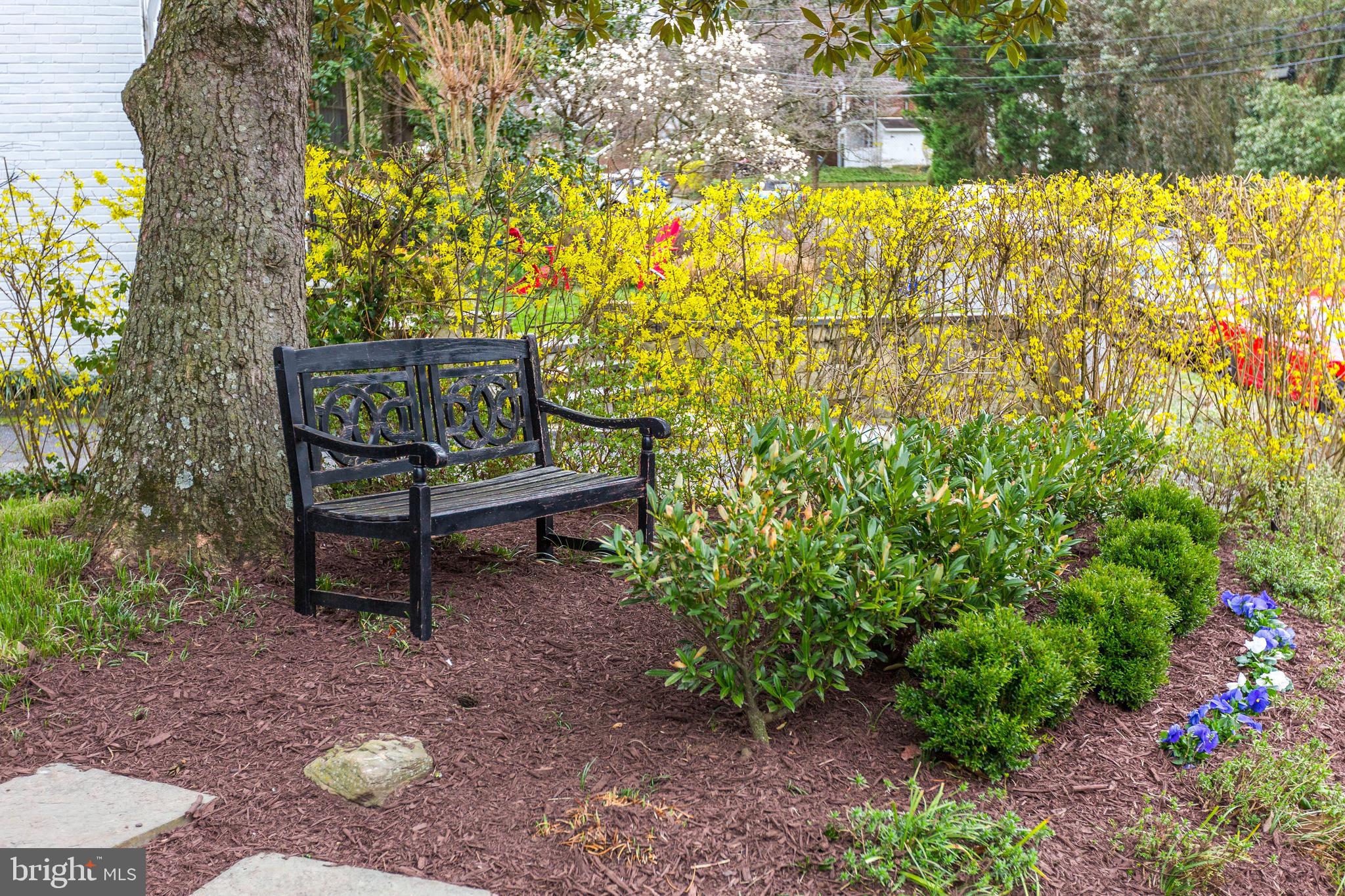6001 Gloster Road Bethesda, MD 20816 - Photo 53 of 64 Enjoy your new manicured garden.