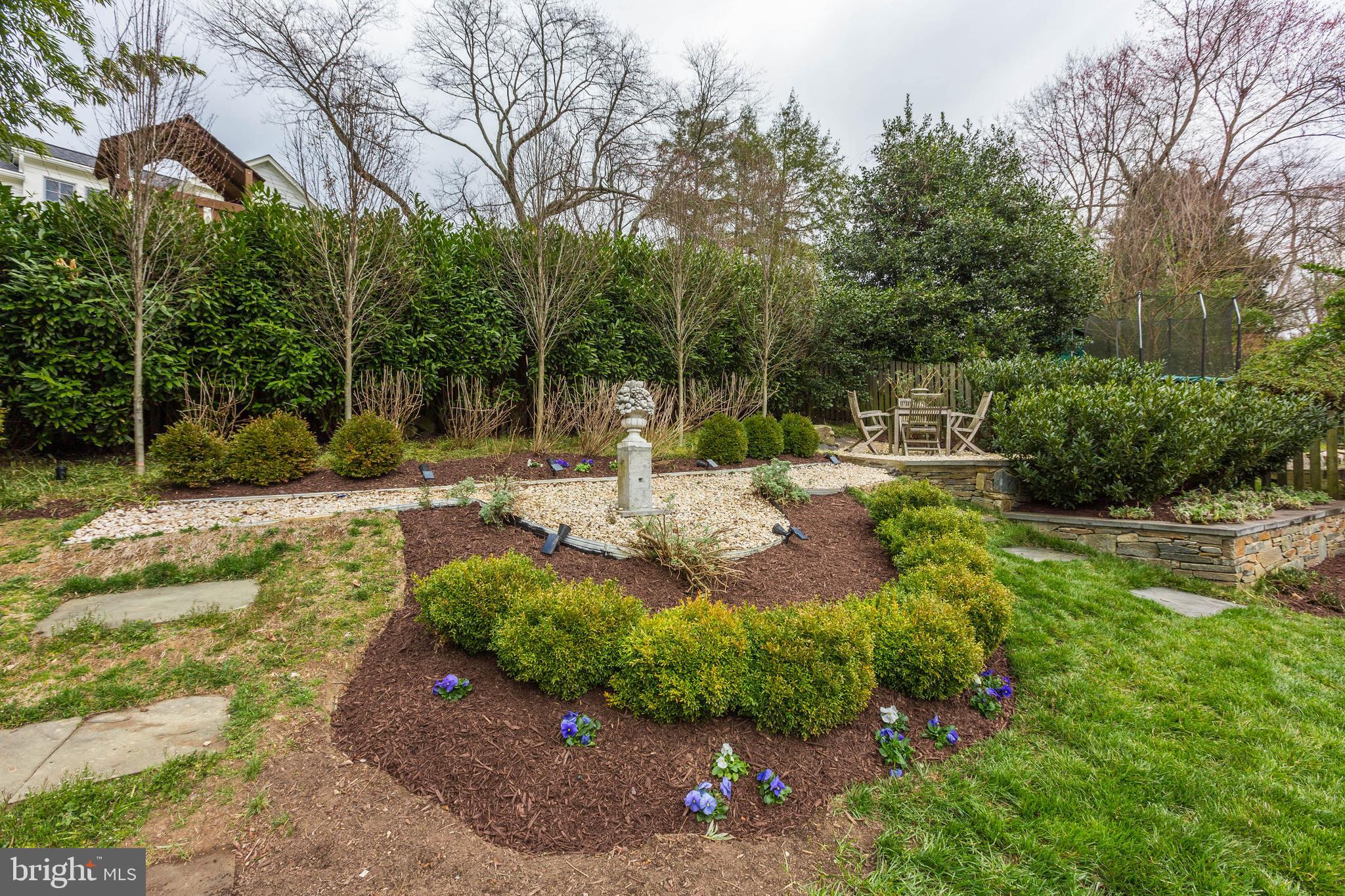 6001 Gloster Road Bethesda, MD 20816 - Photo 61 of 64 Not yet in bloom, wait for spring!