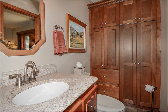 2570 Miller Road Geneva, IL 60134 - Photo 12 of 21 a bathroom with a granite countertop sink toilet and shower