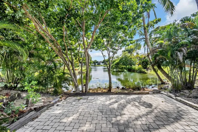a view of a backyard