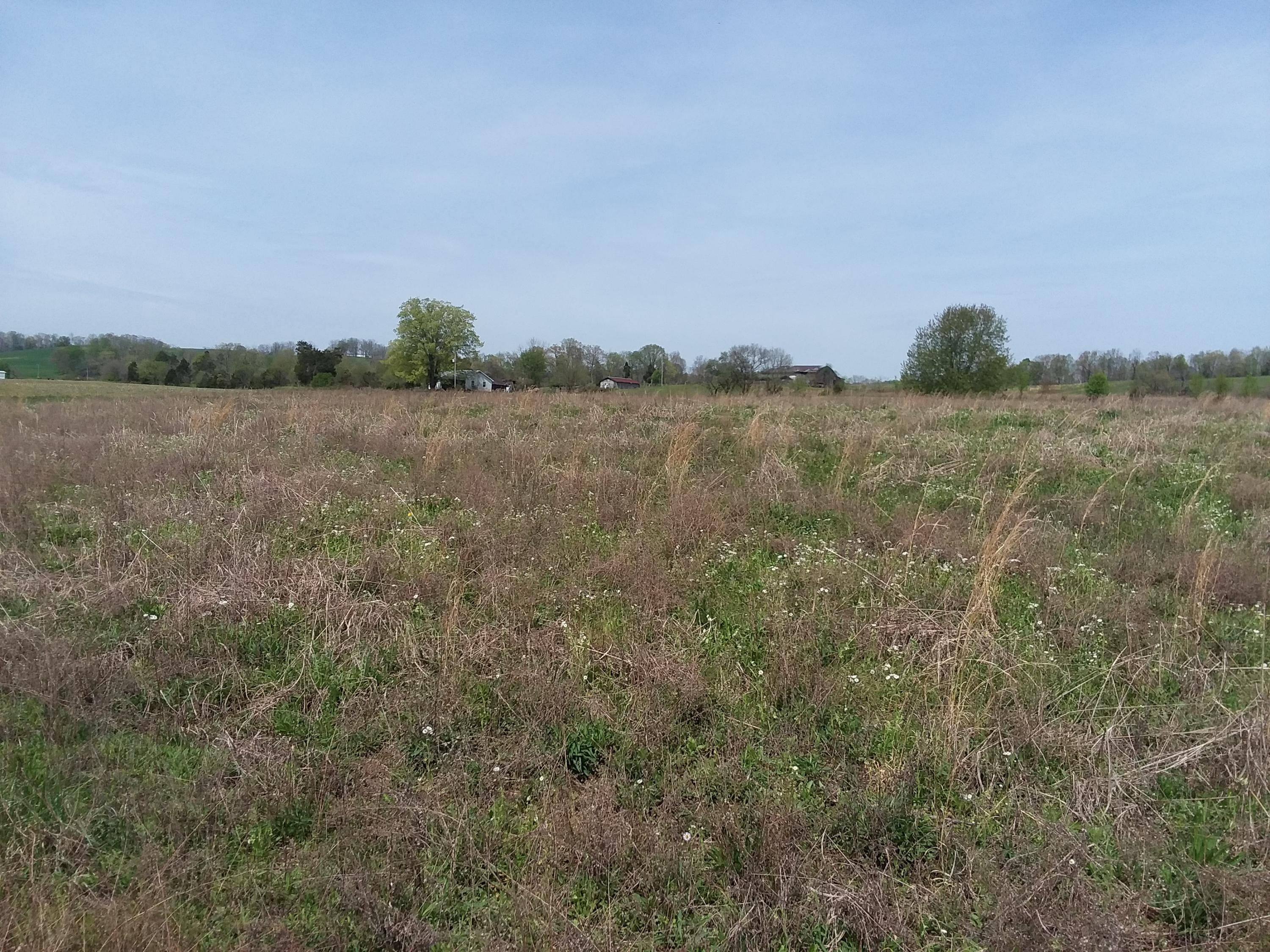 Flatwoods Road Rose Hill, VA 24281 - Photo 1 of 2 20190417_120111