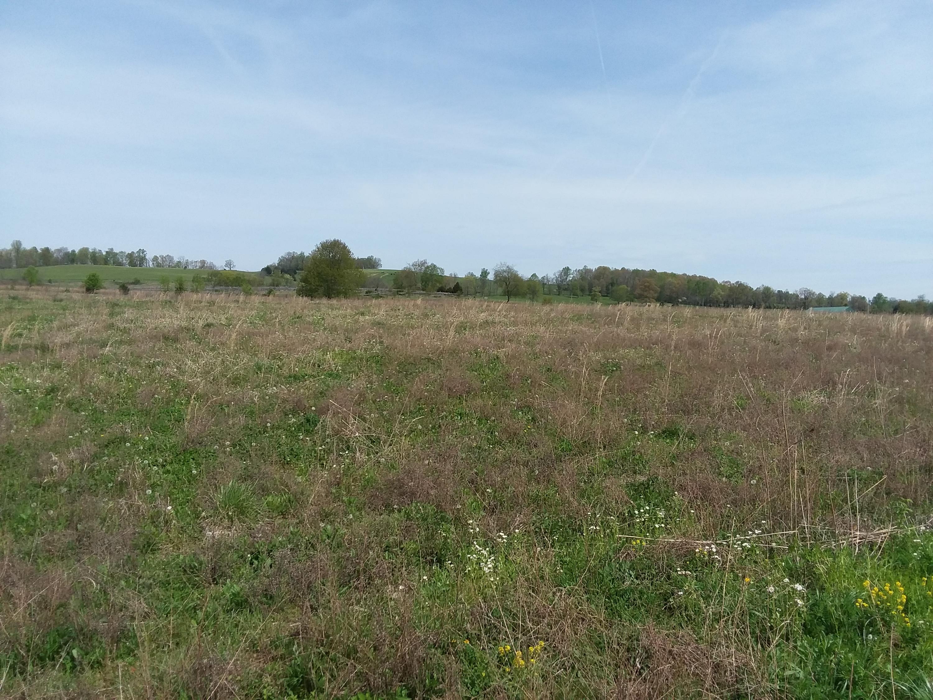 Flatwoods Road Rose Hill, VA 24281 - Photo 2 of 2 20190417_115923