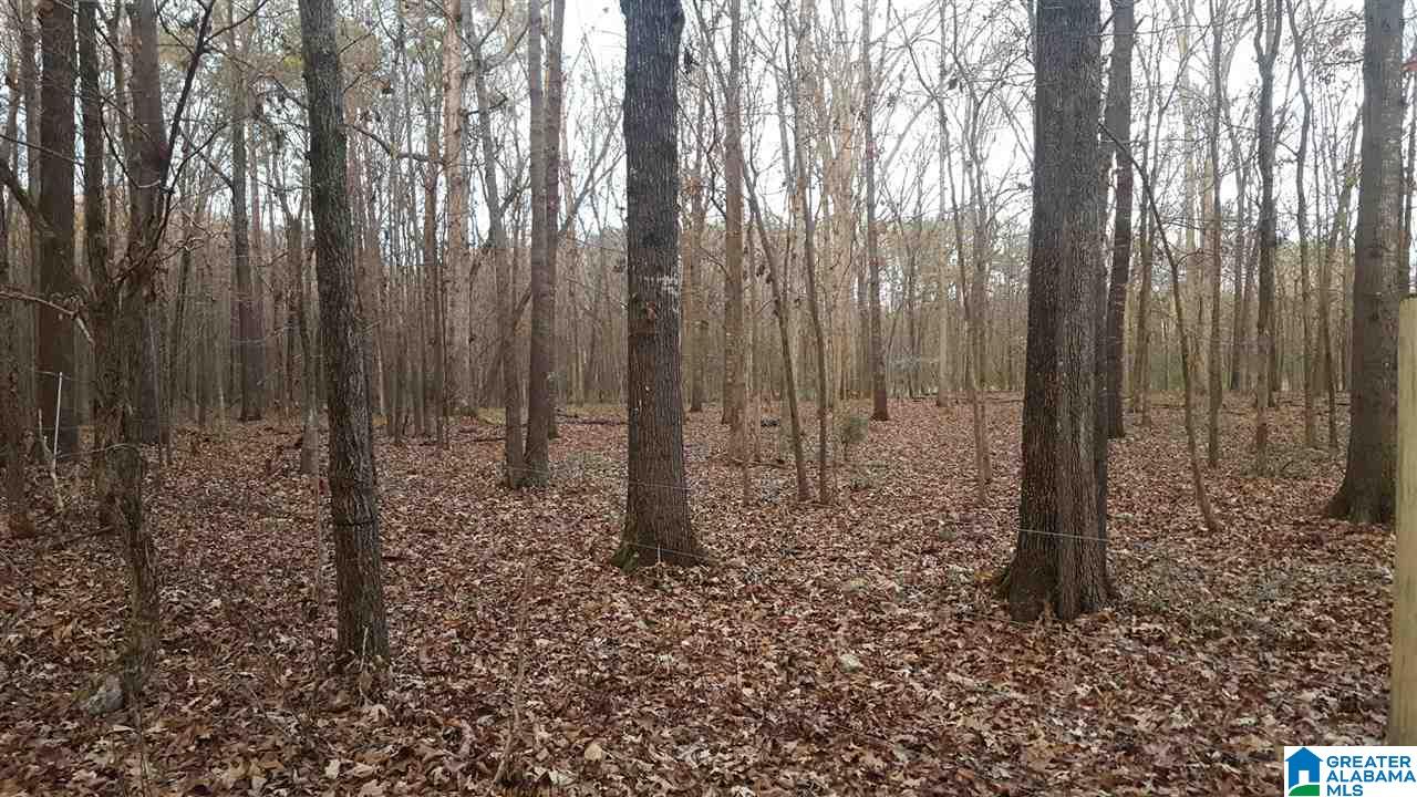 2 Lucas Drive, Unit 1 Hayden, AL 35079 - Photo 8 of 11