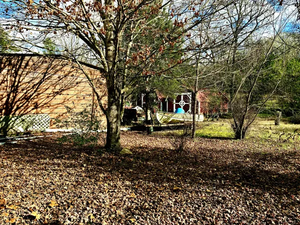 a backyard of a house with lots of green space