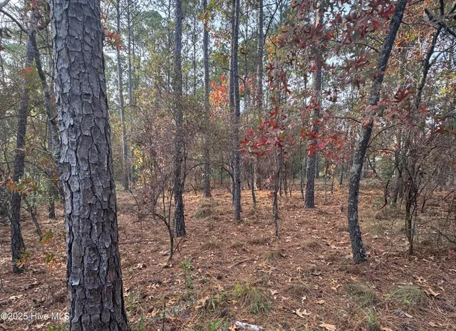 $239,900 | 10209 Wildlife Drive Southeast, Leland, NC 28451