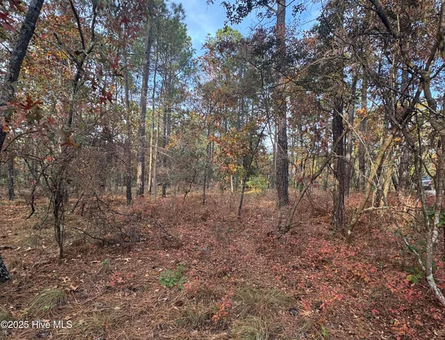 $239,900 | 10209 Wildlife Drive Southeast, Leland, NC 28451